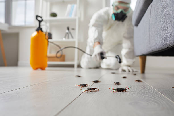 Commercial Kitchen Cockroach Control in Ovid